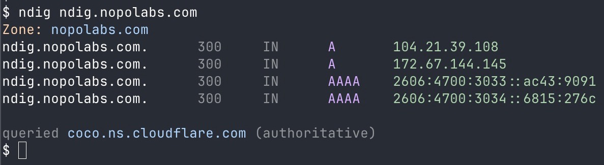 ndig terminal output showing DNS records queried from the authoritative nameserver